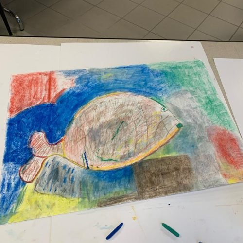 תמונה של WhatsApp‏ 2025-08-13 בשעה 00.51.30_73626890